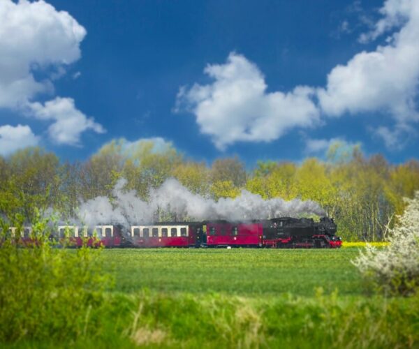 die Bäderbahn Molli fährt durch ein Feld im Frühling in Kühlungsborn an der Ostsee